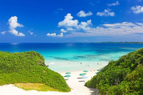 那覇から宮古島 飛行機 空の旅と海の神秘を結ぶ瞬間